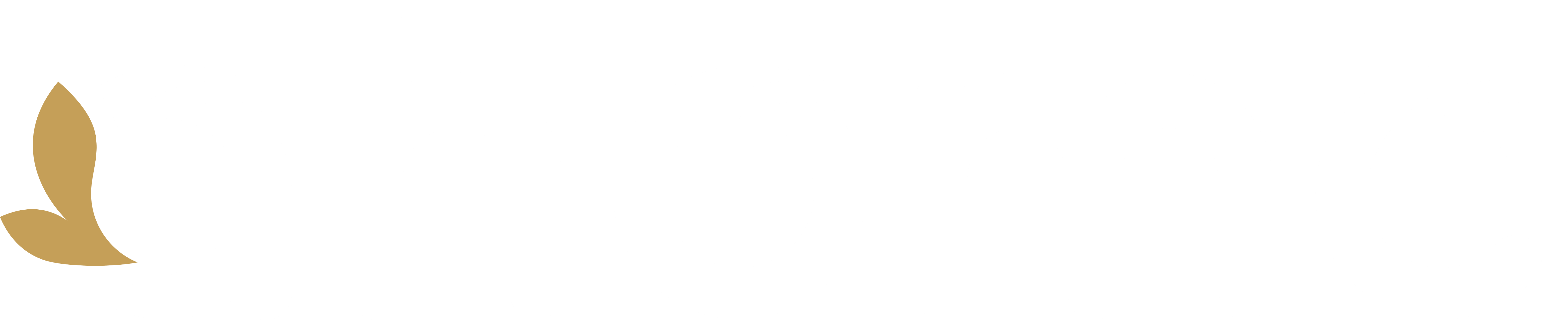 Ahome Logo