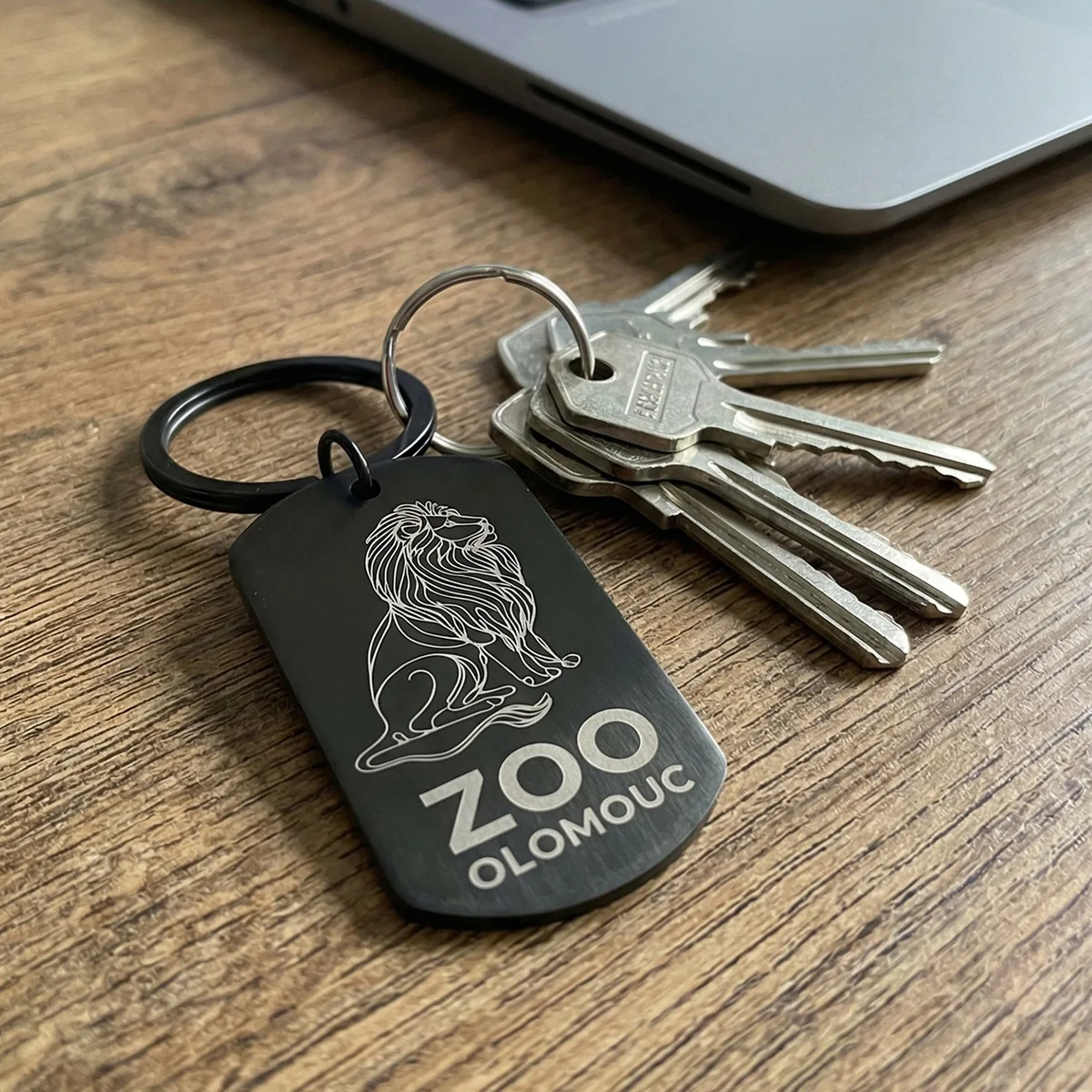 Kľúčenka Zoo Olomouc – lev